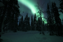 northernlights_6704