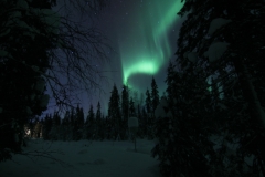 northernlights_6705