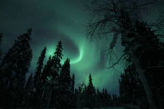 northernlights_6715