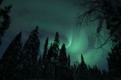 northernlights_6716