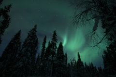 northernlights_6717