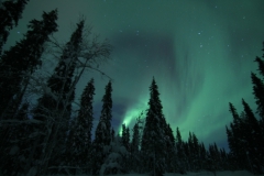 northernlights_6724