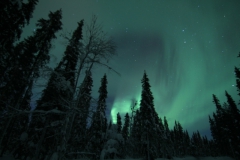 northernlights_6725