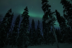 northernlights_6728