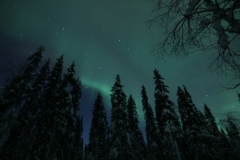 northernlights_6730