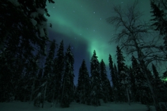 northernlights_6732