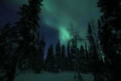 northernlights_6733