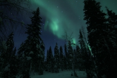 northernlights_6735