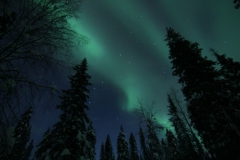 northernlights_6736