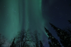 northernlights_6739