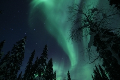 northernlights_6744