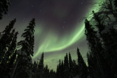 northernlights_6758