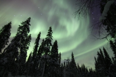 northernlights_6765