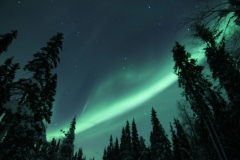 northernlights_6771