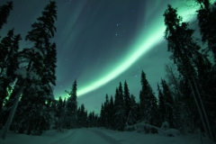 northernlights_6772