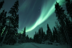 northernlights_6773