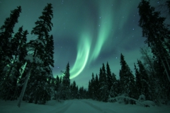 northernlights_6776