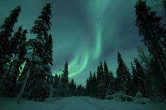 northernlights_6777