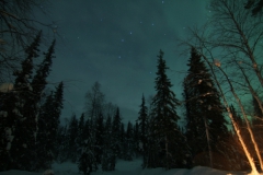 northernlights_6781